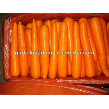2014 Frische Karotte / frische Karotte / China frische Karotte